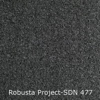 Robusta Project-SDN 477